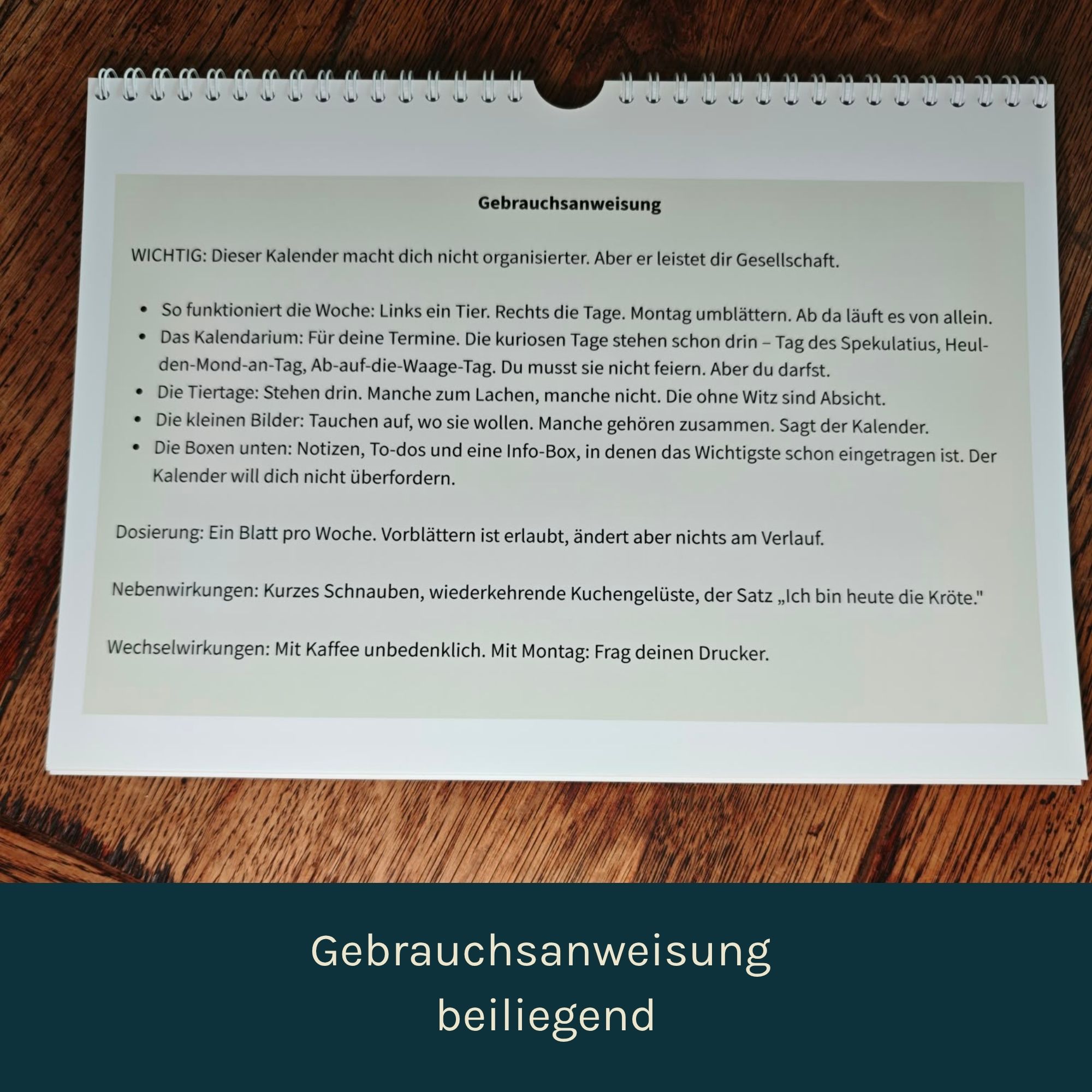 Die Filosofentiere 2027 — Wandkalender A4 – Bild 6