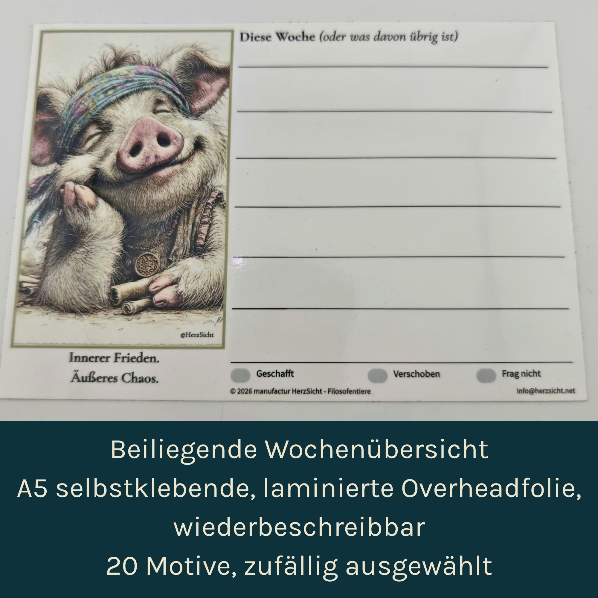 Die Filosofentiere 2027 — Tischkalender A5 – Bild 5