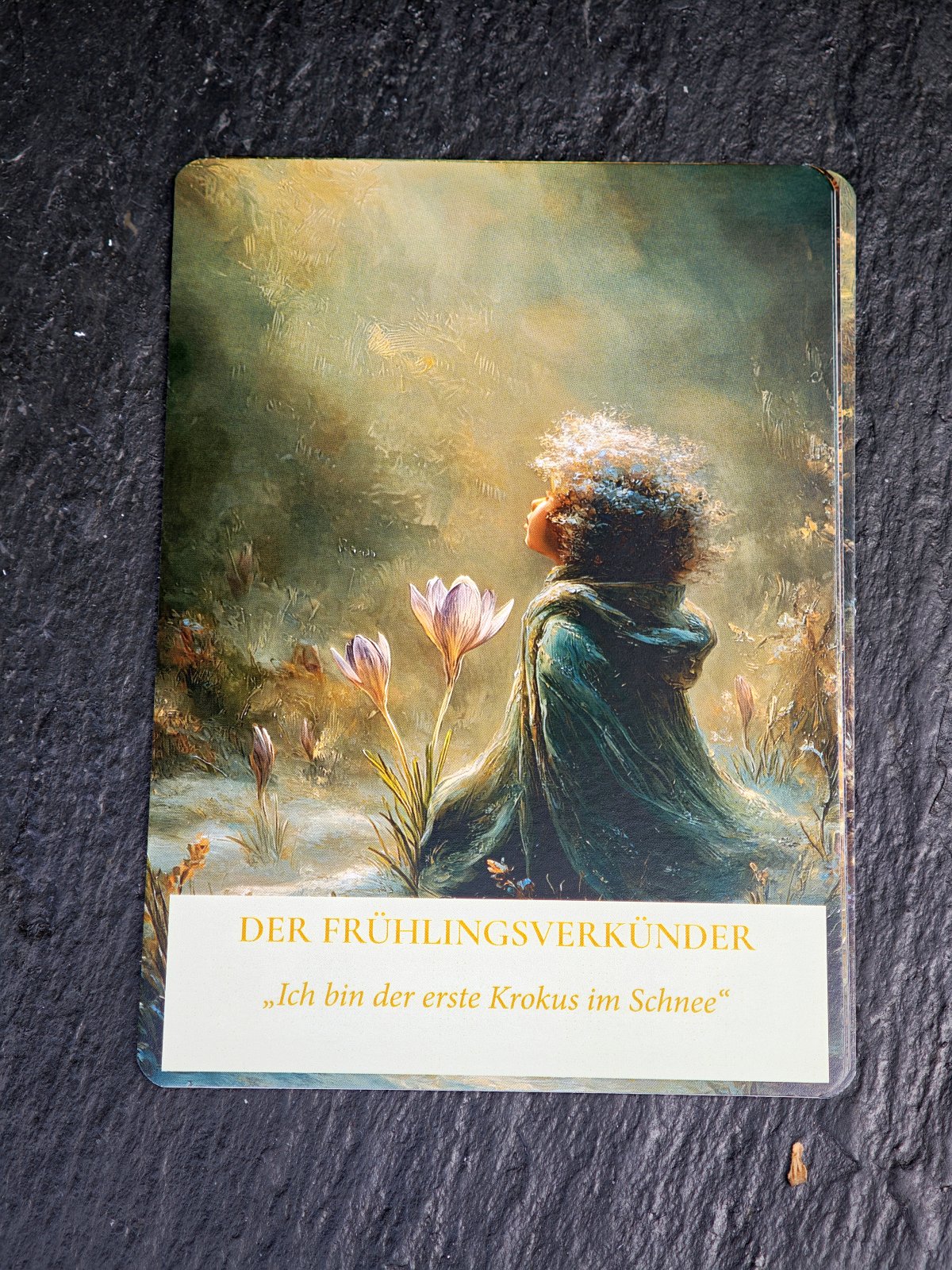 Winterwesen – Das Orakel (50 Karten mit Begleitbuch) – Bild 7