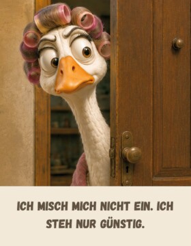 Ich misch mich nicht ein. Ich steh nur günstig.
