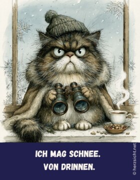 Ich mag Schnee. Von drinnen.